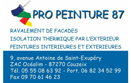 Pro Peinture 87